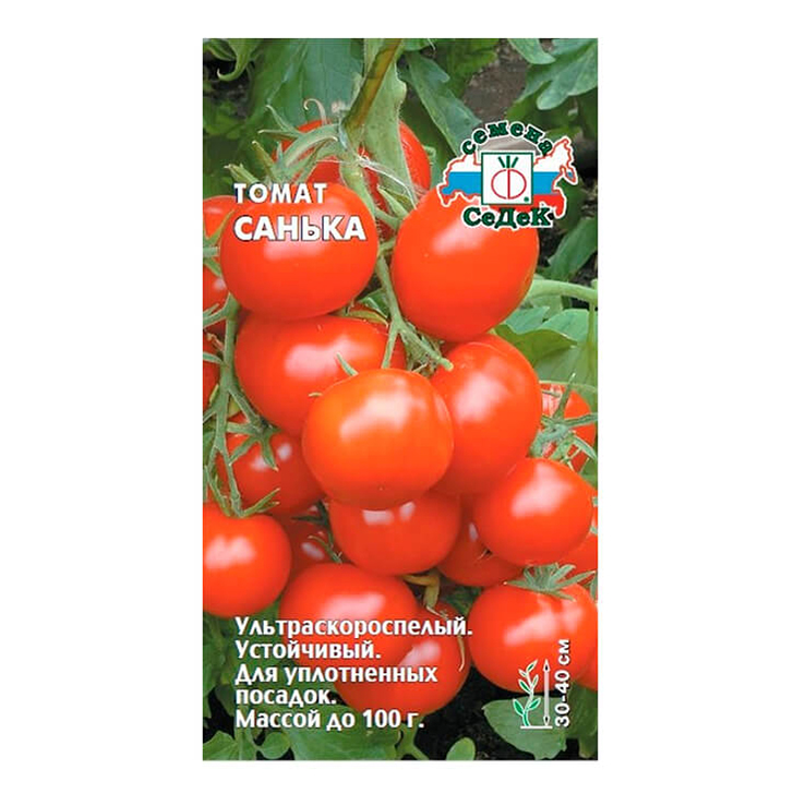 

Семена томат Санька СеДеК