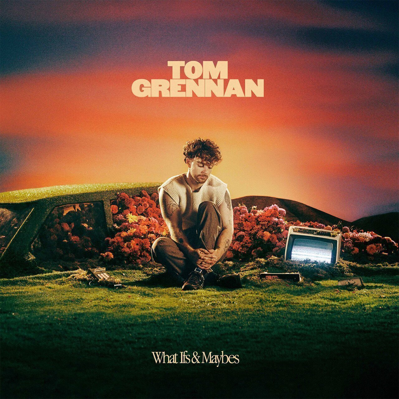 

Tom Grennan What Ifs & Maybes (LP)