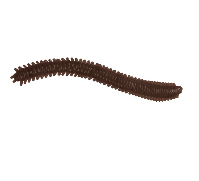 

Мягкая приманка LureMax RAG WORM 3''/7см, LSRW3-018 Worm Brown (10 шт.), Коричневый, Rag Worm