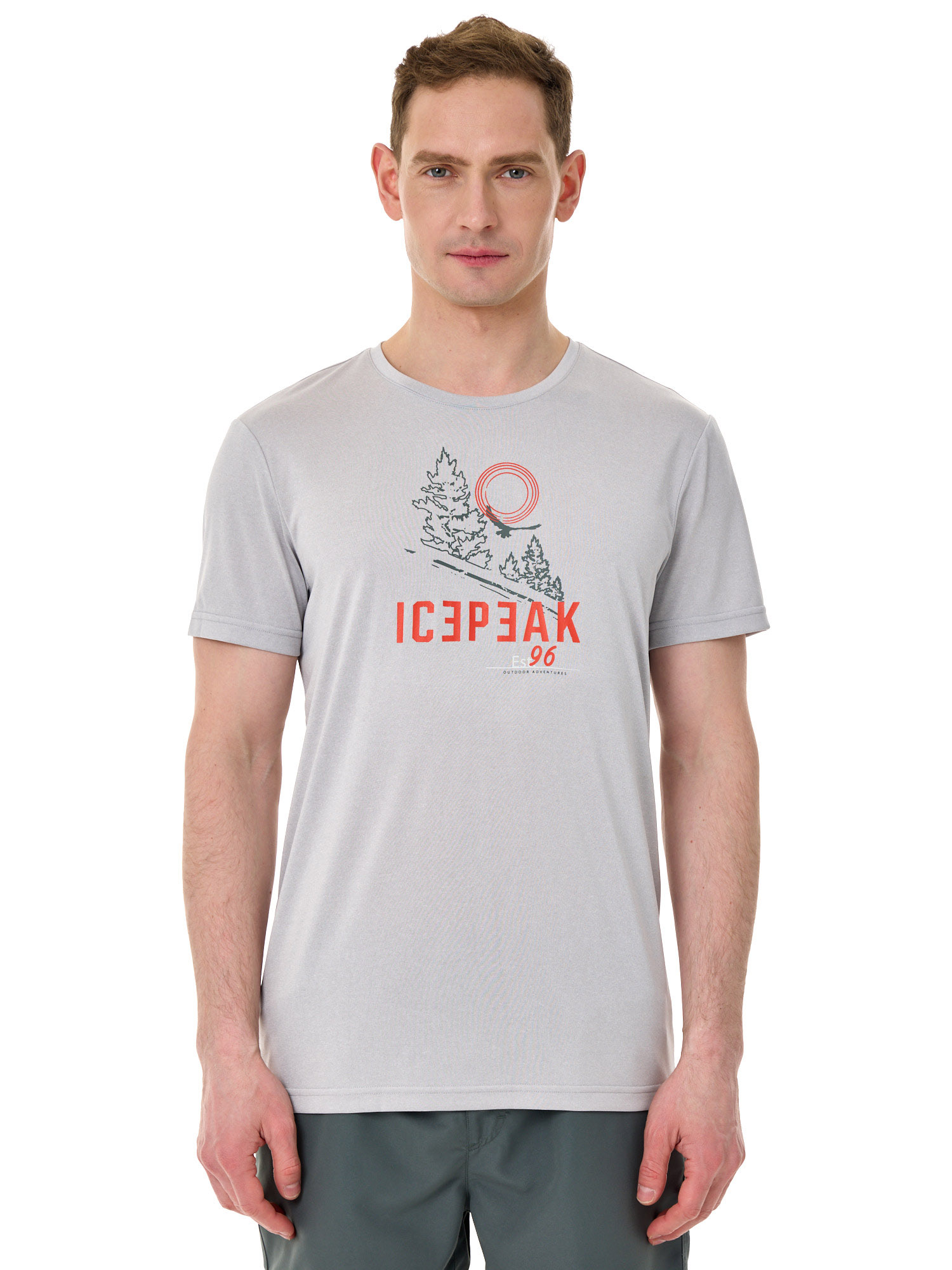 

Футболка мужская IcePeak Bearden 2024 серая 2XL, Серый, Bearden 2024