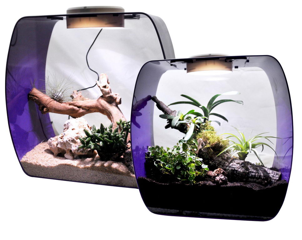 фото Террариум для рептилий lucky reptile life box, фиолетовый, 35 x 35 x 20 см