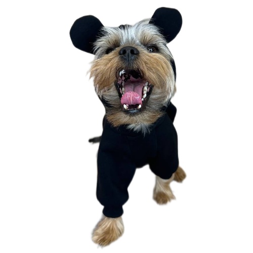 Толстовка для собак SPLOOT, унисекс, с ушками, черная, футер, S, длина спины 28 см