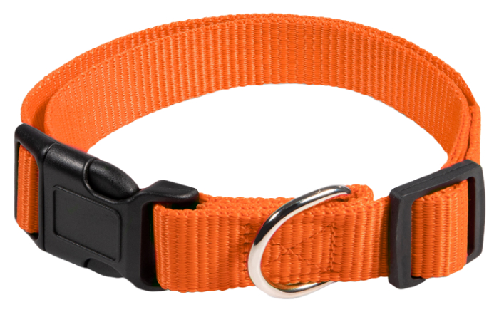 фото Ошейник для собак gamma, эталон, нейлоновый, s, оранжевый, 15 мм, 25-40 см