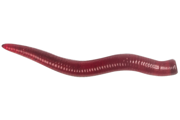 

Мягкая приманка LureMax CURLY WORM 2,5''/3,5см, LSCL25-019 Blood Red (20 шт.)