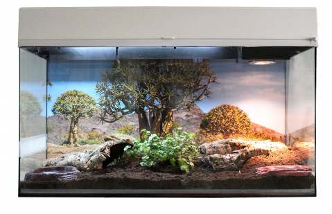 

Террариум LUCKY REPTILE Стартовый комплект для Сухопутных Черепах, белый, 80 x 52 x 40 см