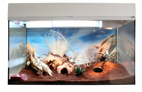 

Террариум для рептилий Lucky Reptile Стартовый комплект для Гекконов, белый, 50x40x28 см, Стартовый комплект для Гекконов