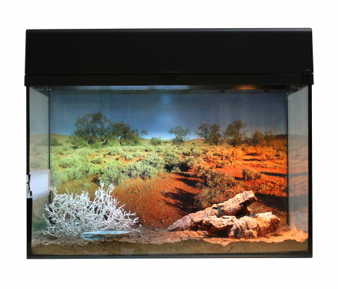 фото Террариум для рептилий lucky reptile стартовый комплект для гекконов, черный, 50x40x28 см