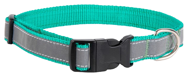 

Ошейник для собак Tappi Панакс DV05250102, зеленый, 25 мм, 40-63 см, Панакс