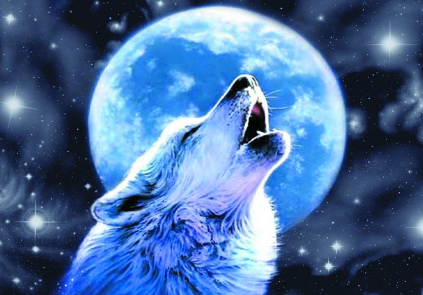 Алмазная мозаика DVEKARTINKI Белый волк на фоне полной луны 30x40 на подрамнике