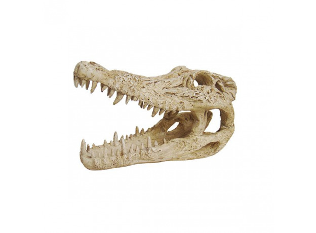 фото Декорации для аквариума artuniq crocodile skull, череп крокодила