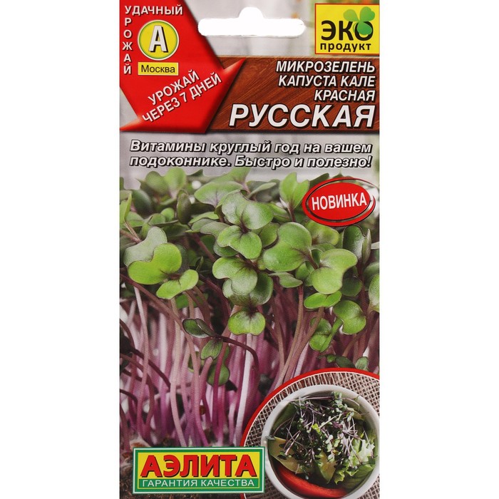 

Семена Микрозелень Капуста кале "Красная русская", ц/п, 3 г