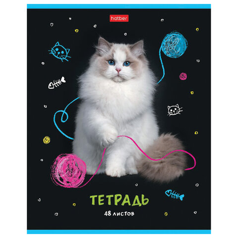 

Тетрадь HATBER МУРчат Коты 404469, 1 шт