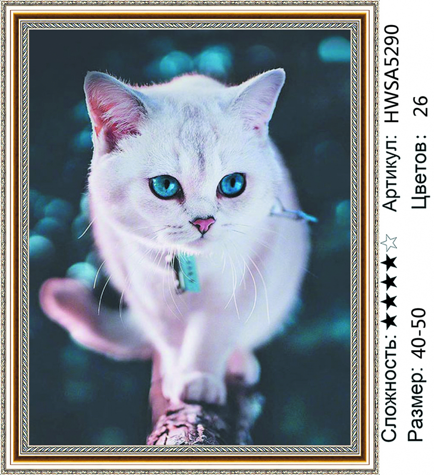 

Алмазная мозаика DVEKARTINKI Белый котик 40x50 без подрамника, Белый котик