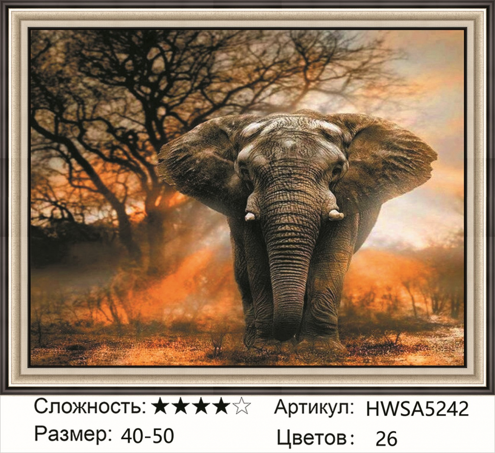 

Алмазная мозаика DVEKARTINKI Слон 40x50 без подрамника, Слон