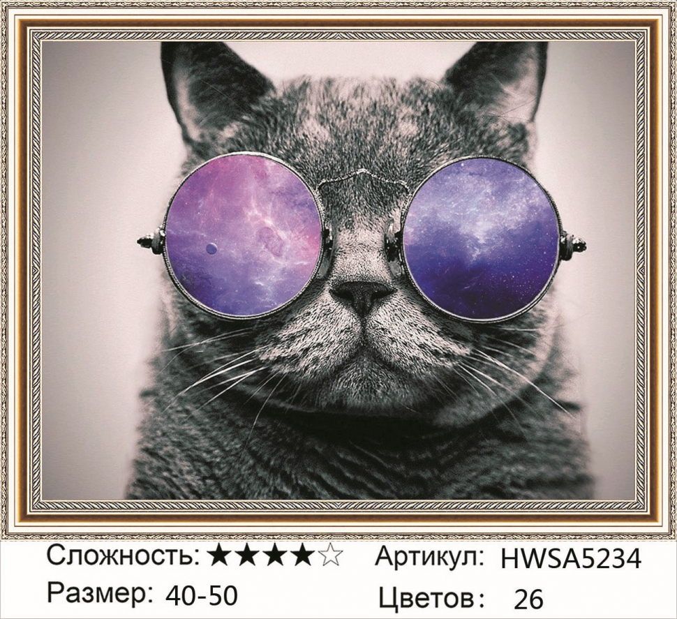 

Алмазная мозаика DVEKARTINKI Кот в фиолетовых очках 40x50 без подрамника, Кот в фиолетовых очках