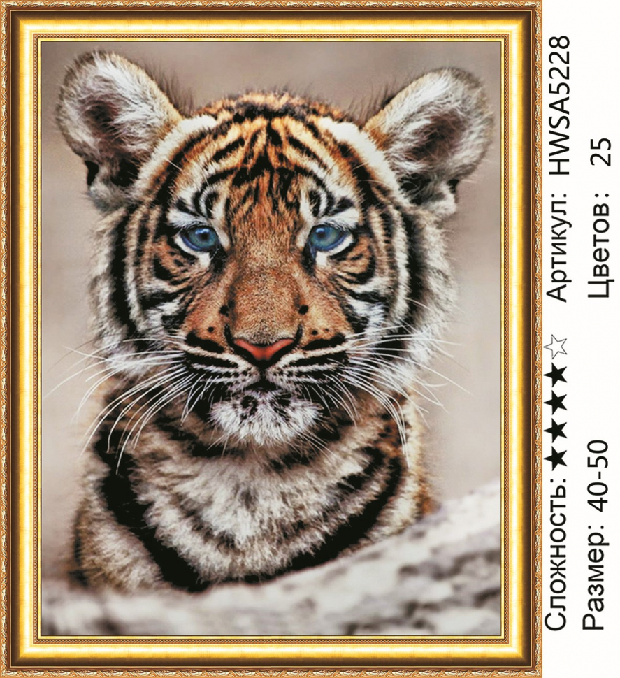 

Алмазная мозаика DVEKARTINKI Тигренок 40x50 без подрамника, Тигренок