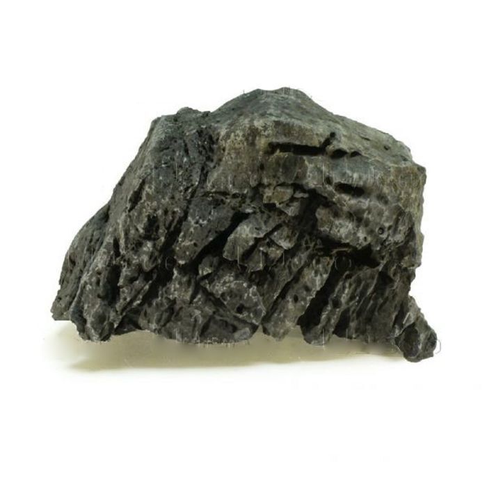 фото Натуральный камень udeco fossilized wood, окаменелое дерево, xs