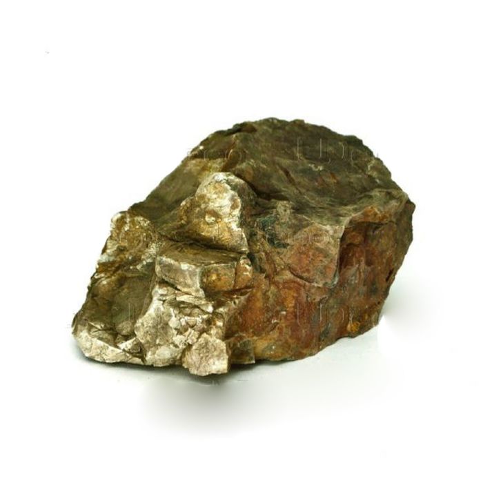 фото Натуральный камень udeco fossilized wood, окаменелое дерево, xs, 0,5-3 кг
