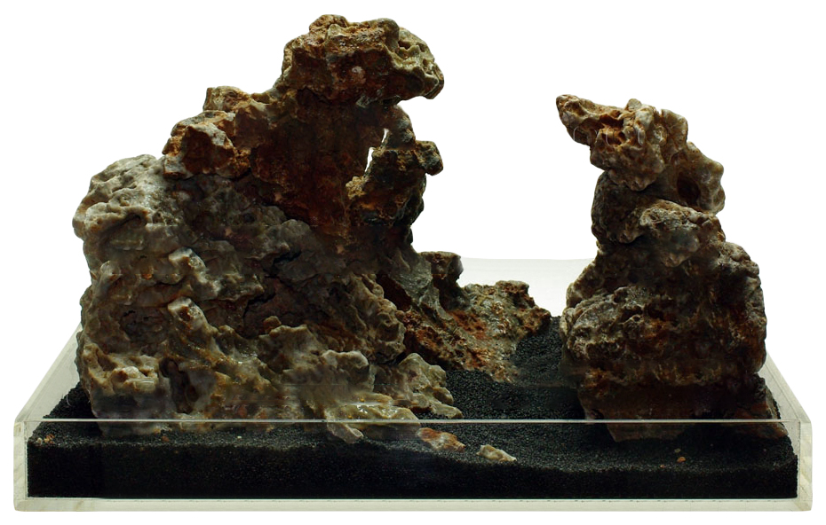 фото Натуральный камень udeco fossilized wood, окаменелое дерево, xs