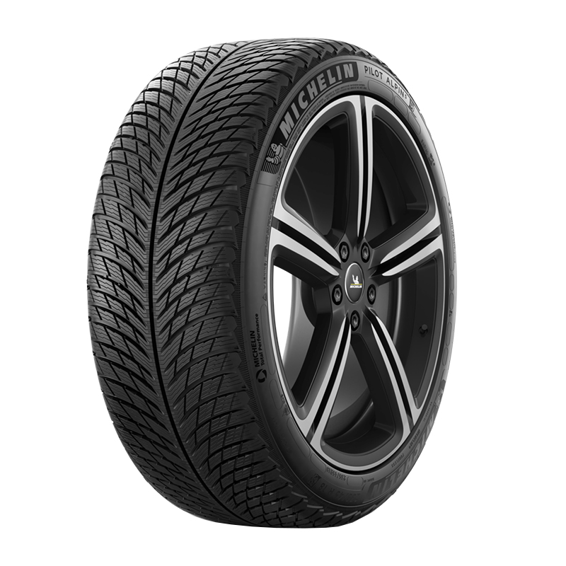 

Шины Michelin Pilot Alpin 5 245/35R19 93W нешипованная