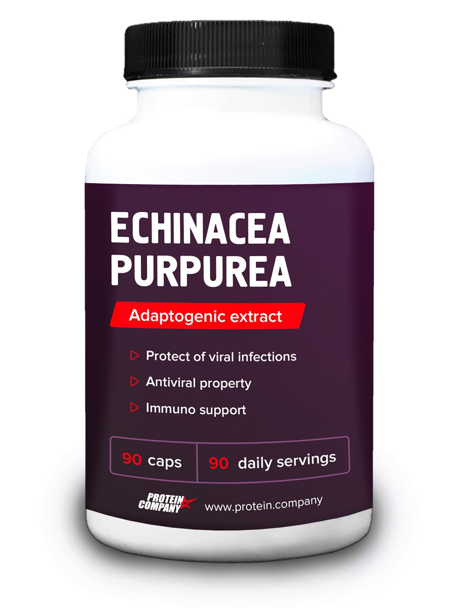 фото Echinacea purpurea / protein.company / экстракт эхинацеи / капсулы / 90 порций / 90 капсул