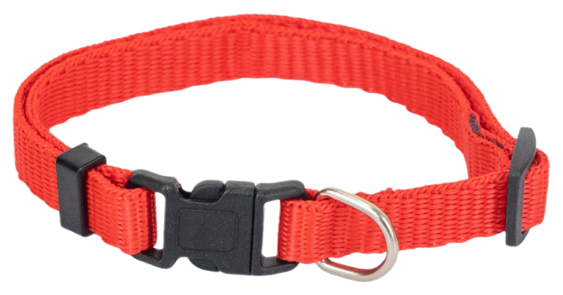 фото Ошейник для собак дарэлл sport синтетический, красный, 10 мм, 18-28 см