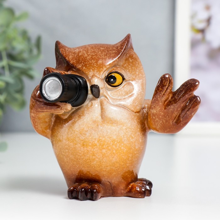 

Сувенир полистоун лак "Филин - Фотограф" 9,5х8х9,2 см