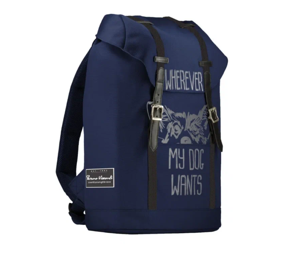 Рюкзак школьный Bruno Visconti Pocket Корги, синий рюкзак bruno visconti синий белая черешня с сумкой арт 12 002 136 02 к