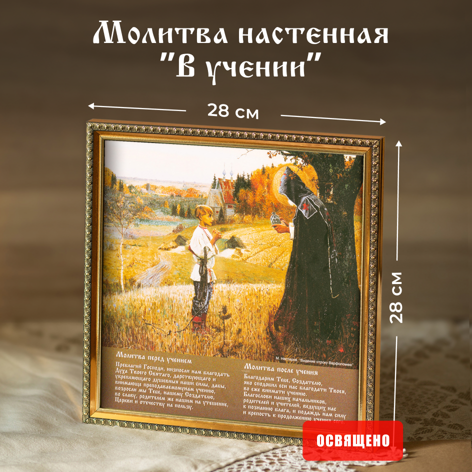 

Икона освященная Духовный Наставник "В учении" в раме 28х28
