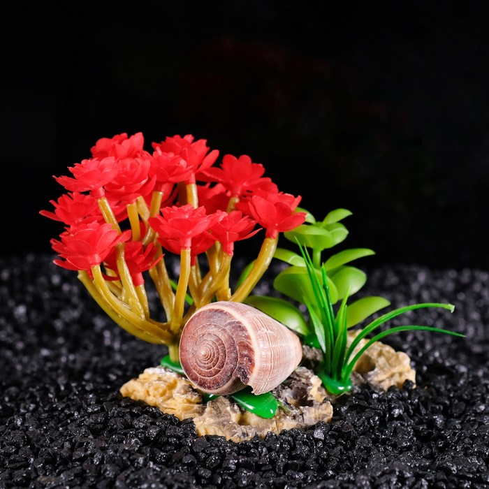 фото Кнр островок с ракушками и искусственными растениями, 12х9х9 см