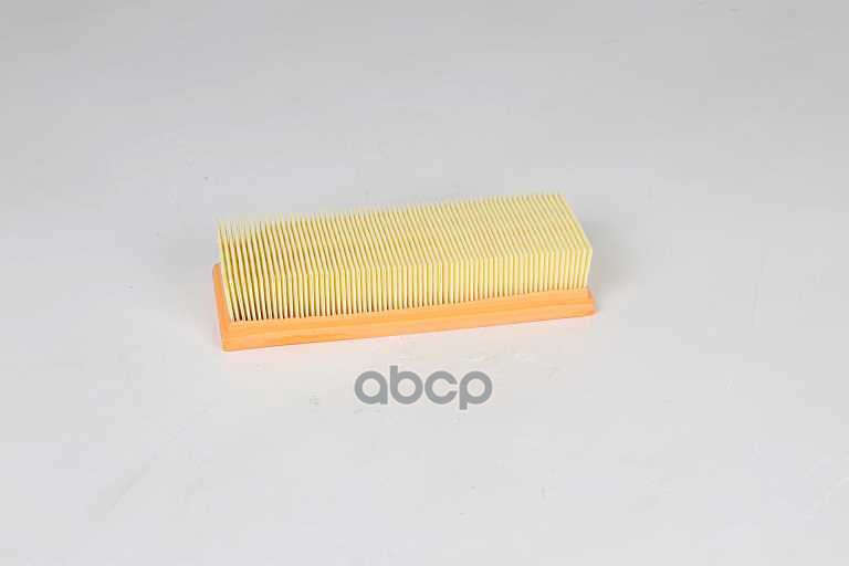 

Фильтр Воздушный BSG AUTO PARTS BSG25-135-006