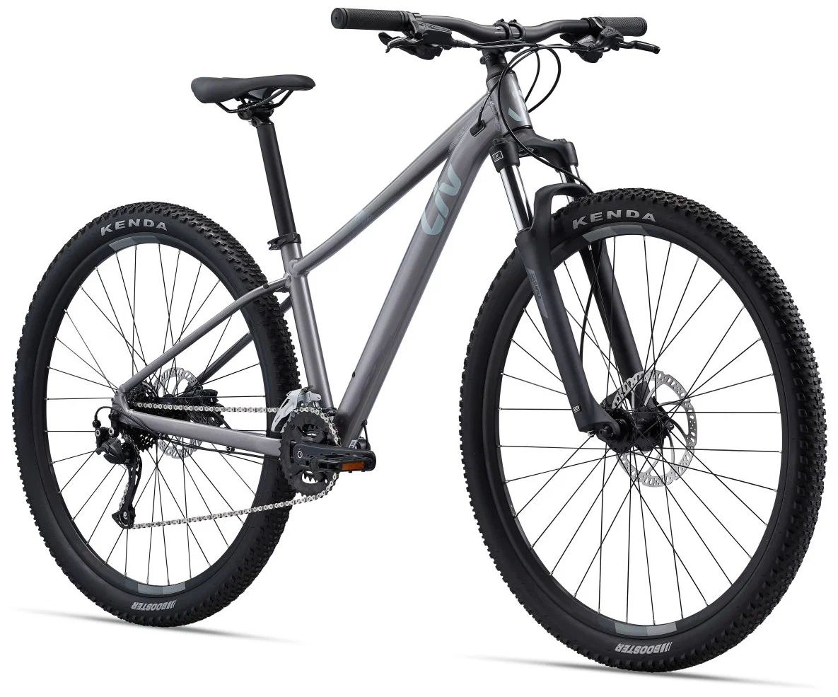 Велосипед Liv Tempt 2 2022 L серый
