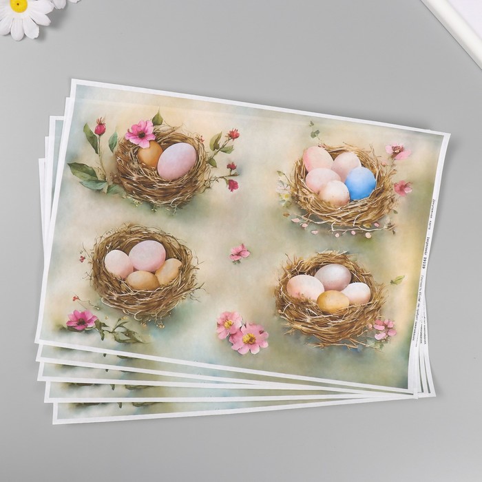 

Декупажная карта Пасхальное гнездо, 10388233-5p 45 г/м2, формат А4 5 шт, Разноцветный