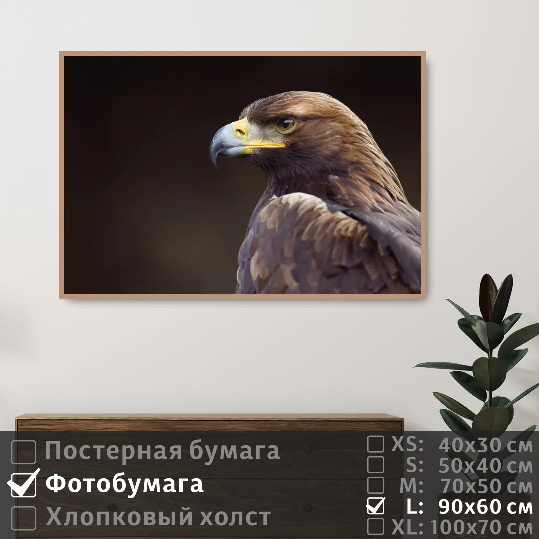 

Постер на фотобумаге ПолиЦентр Орел смотрит вдаль 90х60 см, ОрелСмотритВдаль