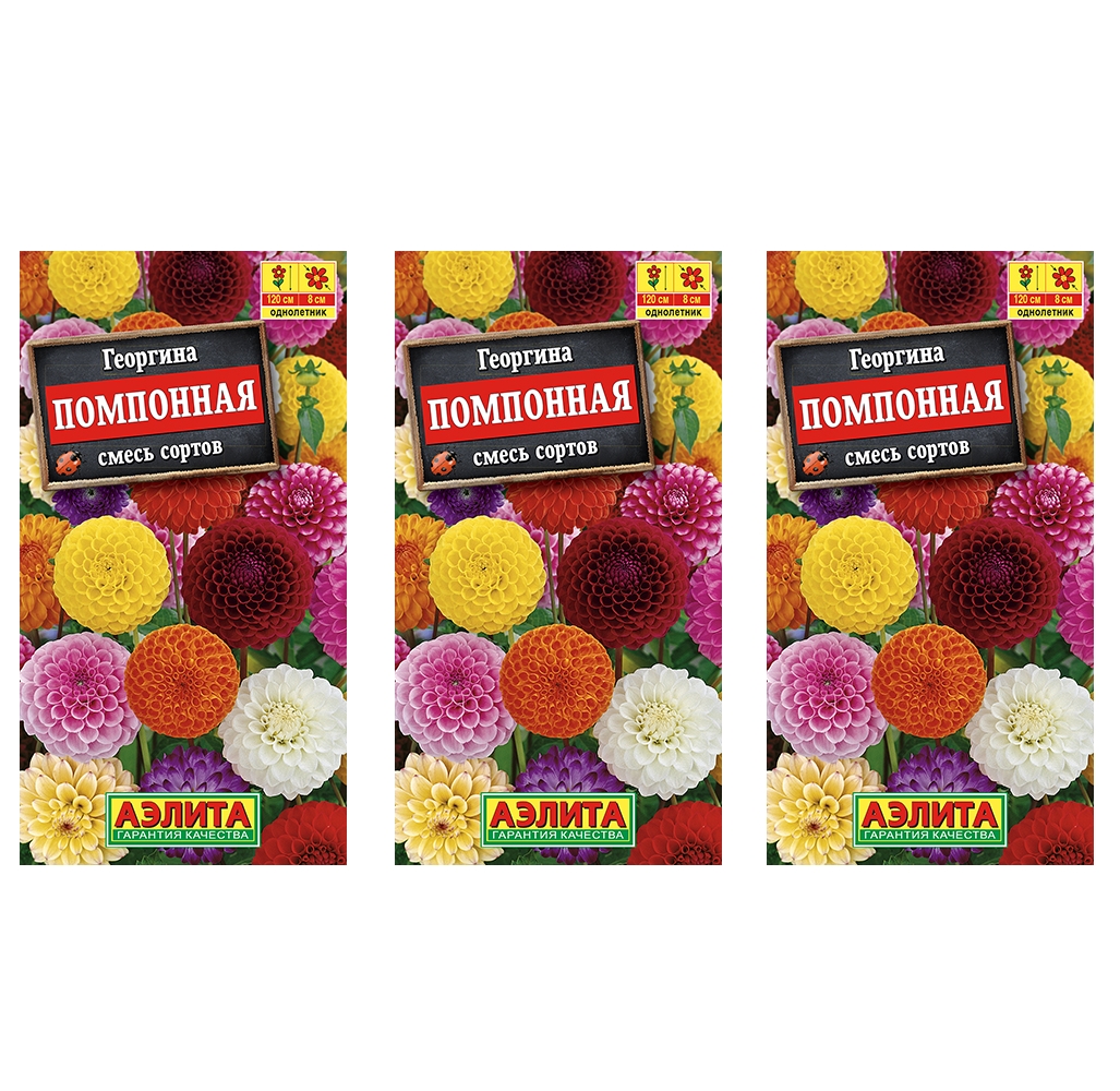 

Саженцы георгин Аэлита помпонная смесь сортов 93807 3 шт., Георгина