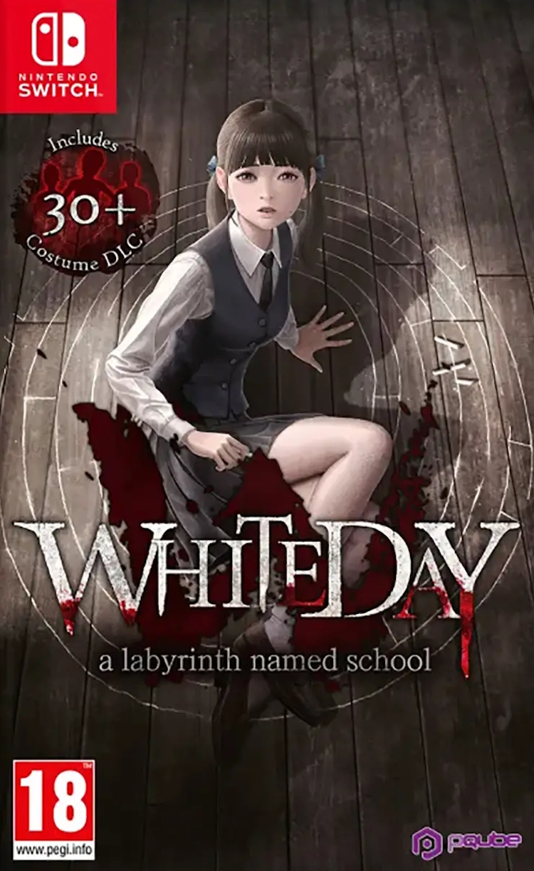 Игра White Day A Labyrinth Named School (Nintendo Switch, русские субтитры) 600012955038