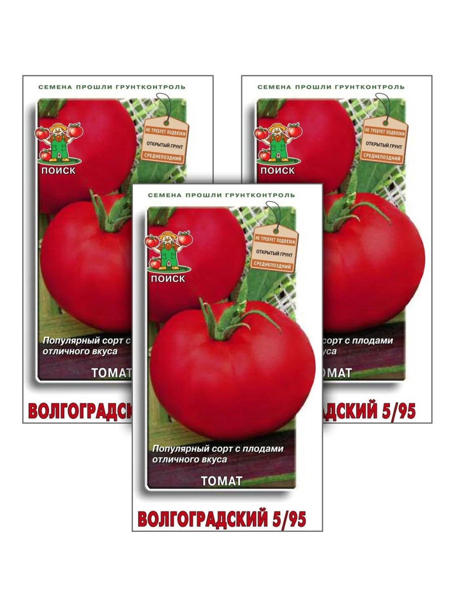 Томаты волгоградский 5 95 отзывы фото. Томат Волгоградский. Волгоградский 5/95. Томат Волгоградский 5/95 0,3гр уд.семена. Томат Рябиновые бусы фото.