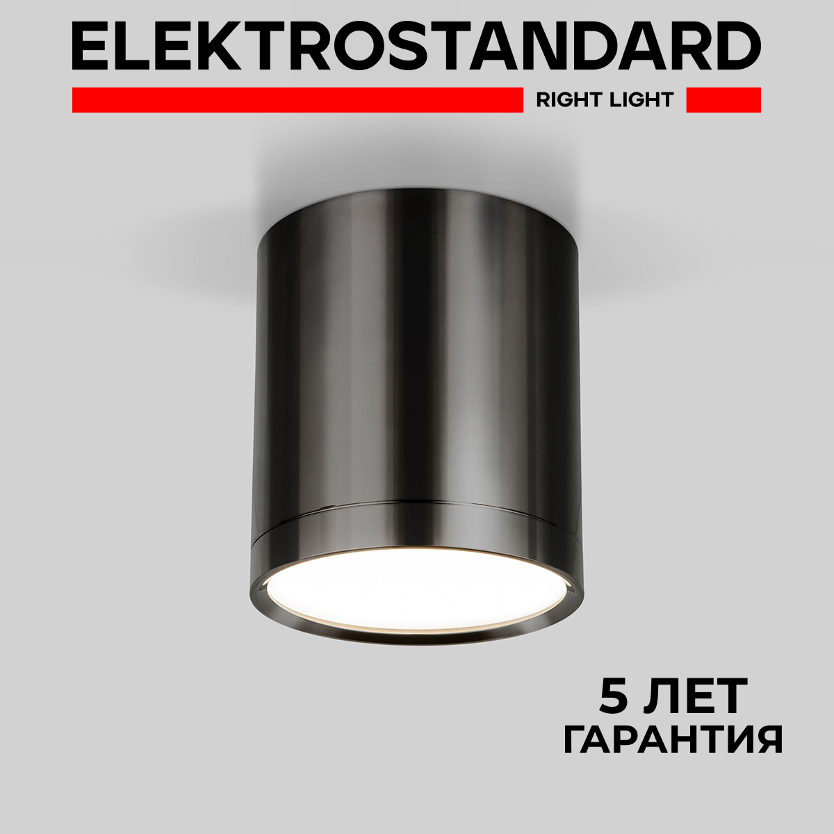 

Накладной светодиодный светильник Elektrostandard DLR024 6W 4200K черный жемчуг, DLR024 DL 190923