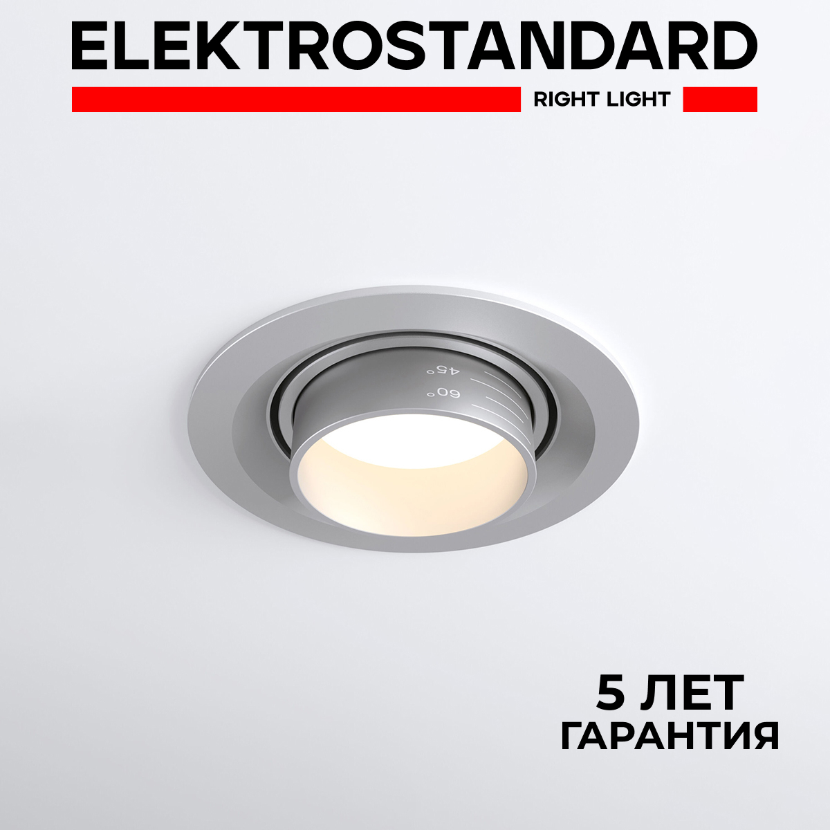 

Потолочный акцентный светильник Elektrostandard 9919 LED 10W 4200K серебро