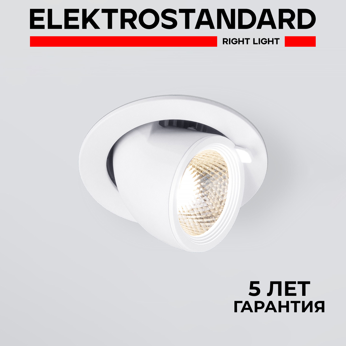 

Потолочный акцентный светильник Elektrostandard 9918 LED 9W 4200K белый