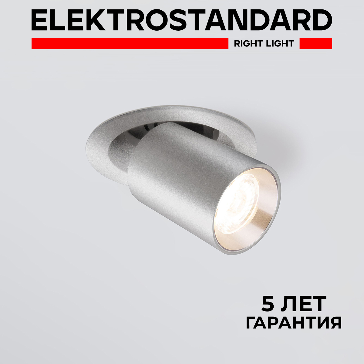 

Потолочный акцентный светильник Elektrostandard 9917 LED 10W 4200K серебро