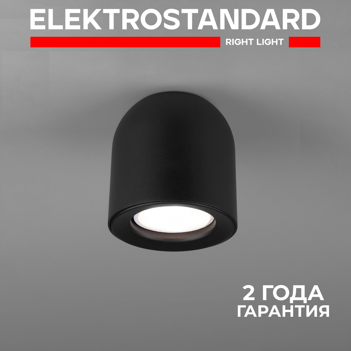 

Накладной потолочный светильник Elektrostandard Ogma DLN116 GU10 черный, Ogma точка 190923