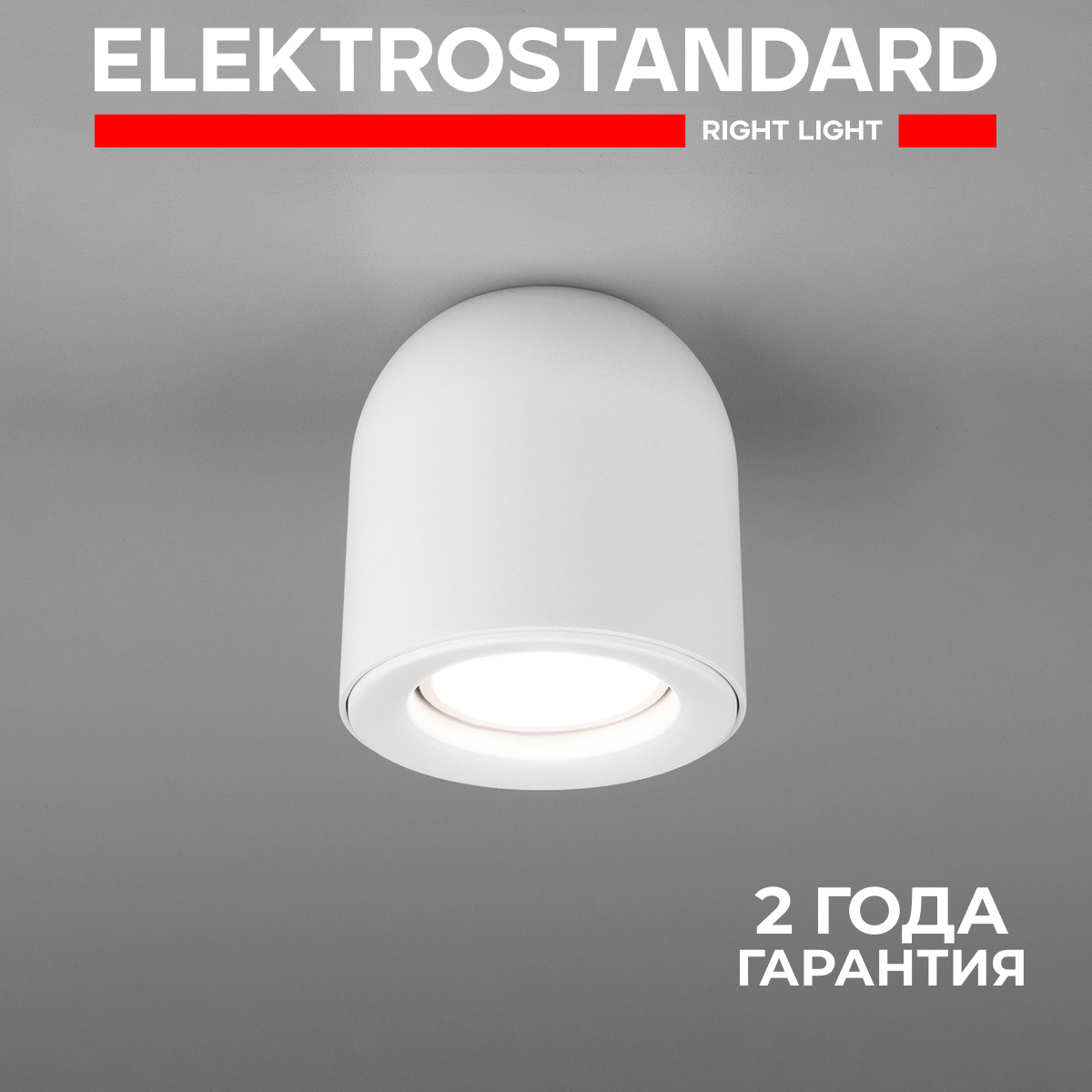 Люстра потолочная MW-LIGHT 481011608