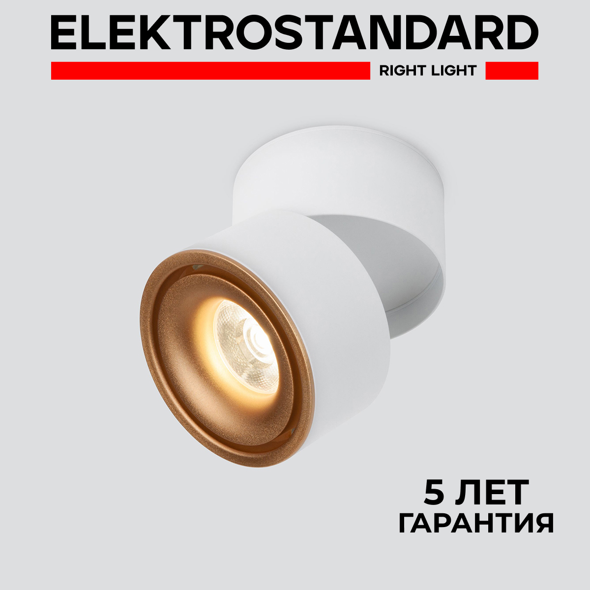 Потолочный акцентный светильник Elektrostandard DLR031 15W 4200K 3100 Klips 190923