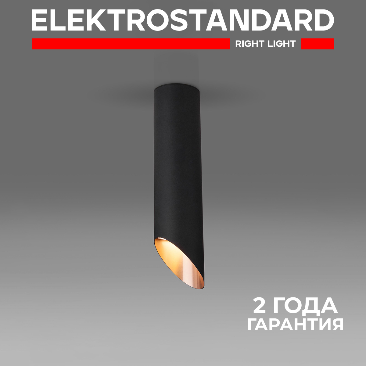 

Накладной потолочный светильник Elektrostandard DLN115 GU10 черный/золото, 7011 190923