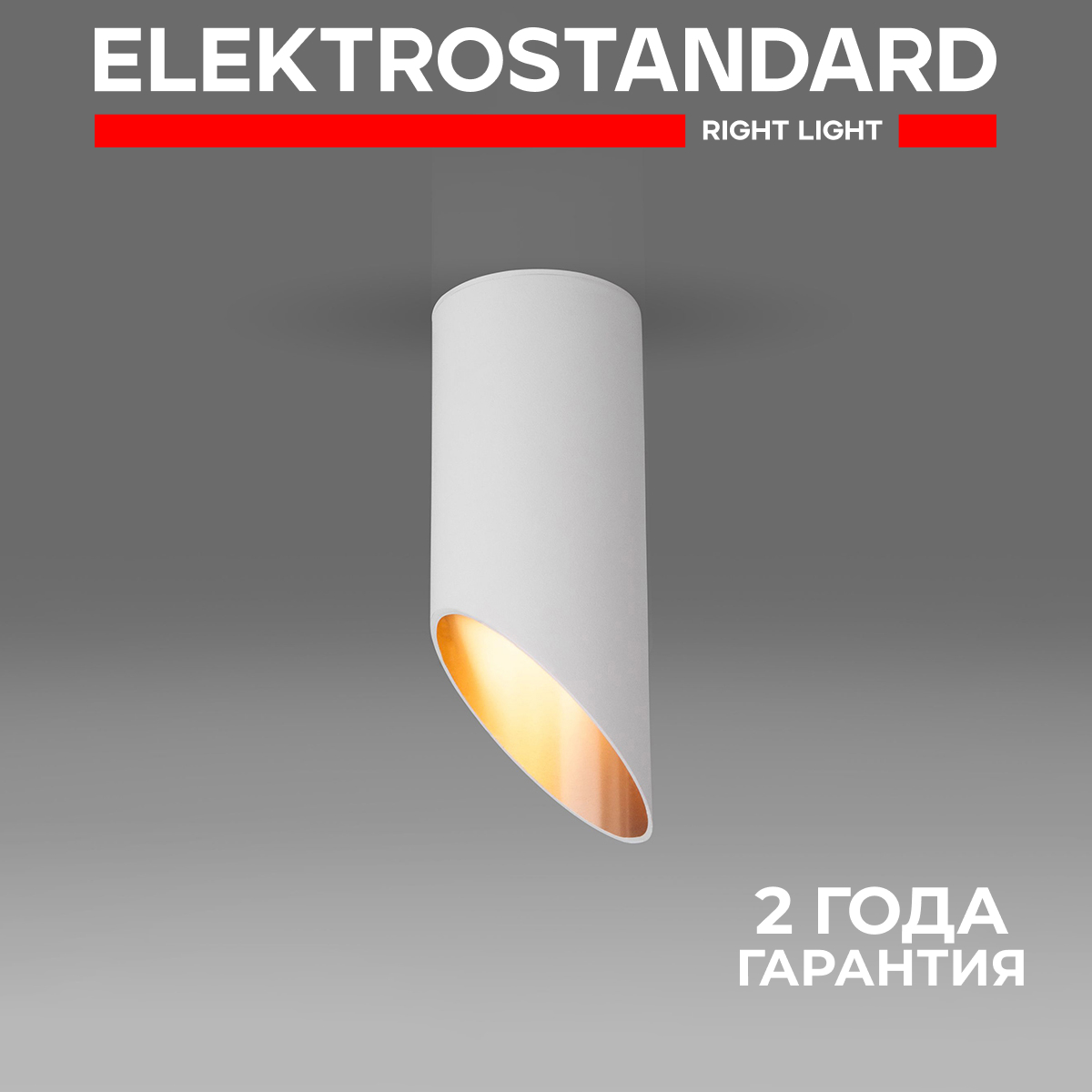 

Накладной потолочный светильник Elektrostandard DLN114 GU10 белый/золото, 7005 190923