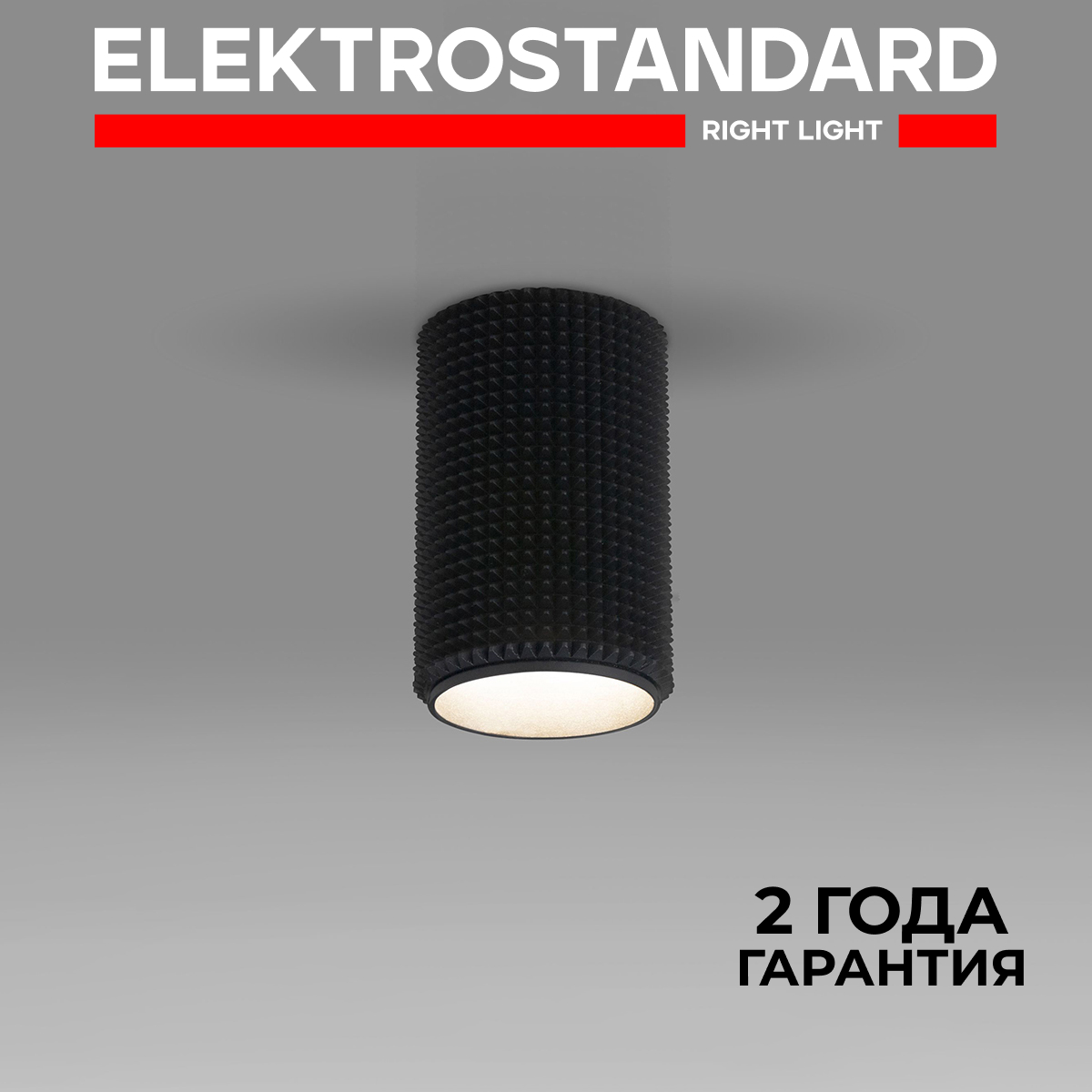 

Накладной точечный потолочный светильник Elektrostandard Spike DLN112 GU10 черный, Spike точка 190923