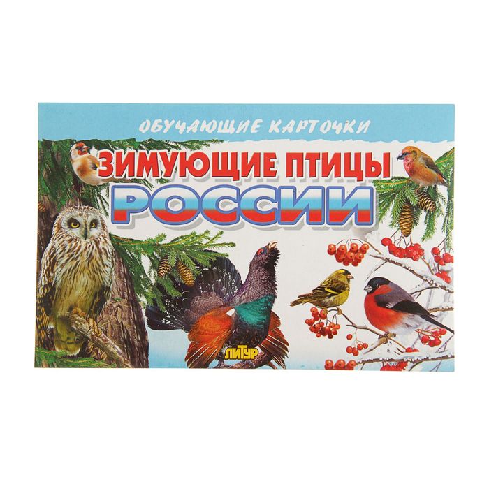 

Обучающие карточки «Зимующие птицы России», 16 карточек