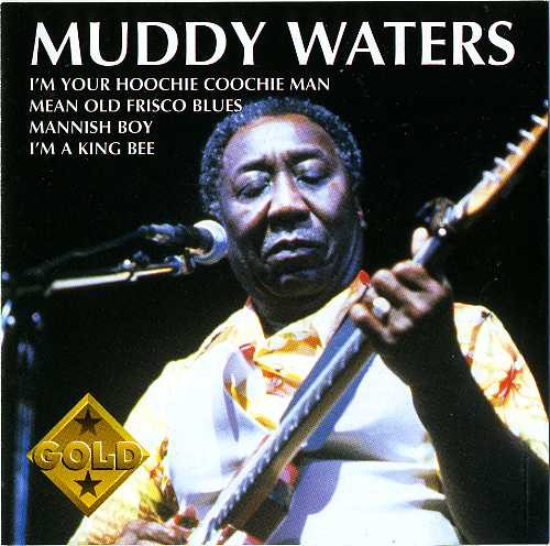 

Muddy Waters - Muddy Waters (1 CD)