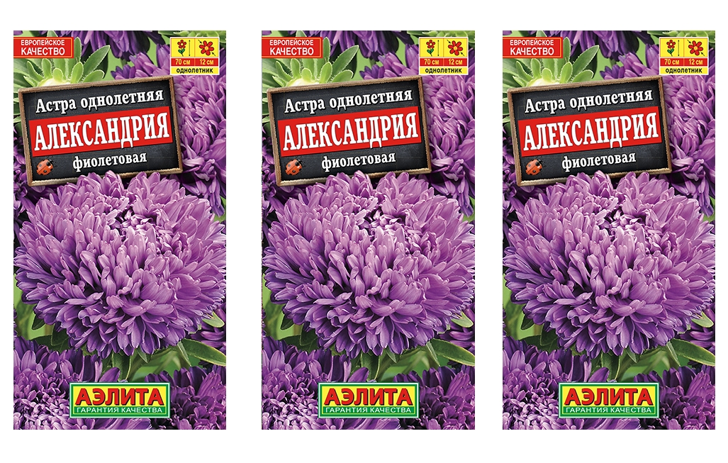 

Семена набор астра Аэлита Александрия фиолетовая 93745 3 уп., Астра